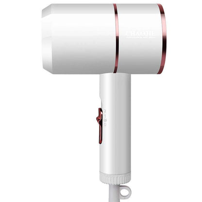 Constant Temperature Negative Ion Hair Dryer for Hair Care Professional Quick-drying 2000W Mini Household Professional Hair Dryer