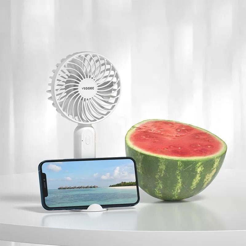 Usb Small Fan Mini Handheld Charging Large Wind Mute Desktop Bed Small Fan Outdoor Travel Portable Fan