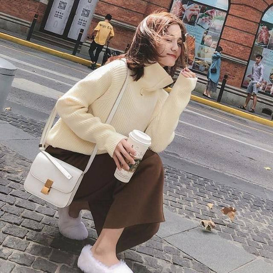 Autumn Winter Turtleneck Rabbit Villus Sweater Simple Women Long-sleeved Slim Sweaters