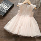 Girls Dress Children's Clothing Mesh Summer Dress Baby Girl Sleeveless Summer Girl Breathable Princess Skirt Tutu Skirt