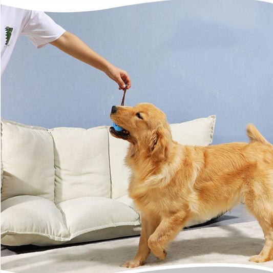 Dog Toy Bite-resistant Small Dog Teddy Relieve Boredom Leaking Ball Molar Teeth Leaking Device Dog Toy Training Toothbrush Pet Dogs Chewing Toys