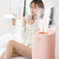Electric Humidifier Essential Aroma Oil Diffuser Ultrasonic Wood Grain Air Humidifier USB Mini Mist Maker