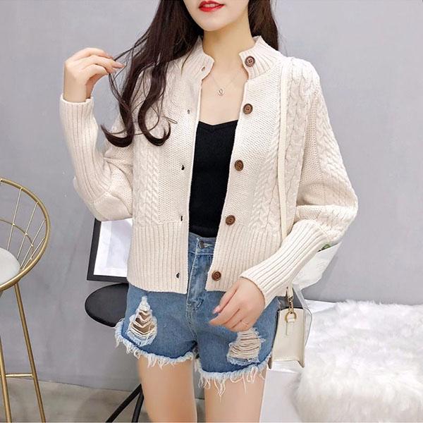 Autumn and Winter Casual Sweater Simple Slim Jacket Fashion Short Girl Top