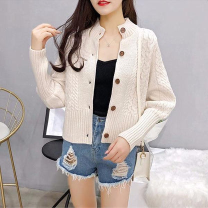 Autumn and Winter Casual Sweater Simple Slim Jacket Fashion Short Girl Top
