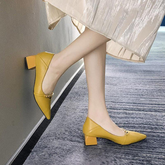 High Heels Women's Thick Heel Spring and Autumn All-match Pointed Toe Fashion Soft Leather Mid-heel Shoes