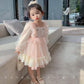 Girls Embroidery Dress Children's Cute Puff Skirt Mesh Princess Dress Baby Girl Spring Dress Long Sleeve Lace Pink Dress