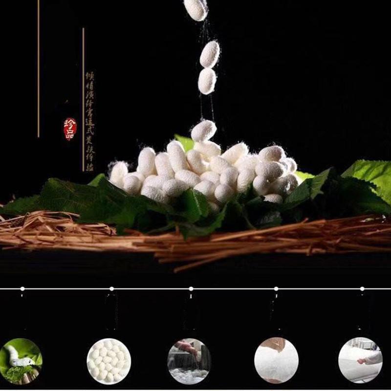 High Grade Winter Chinese 100%Long Mulberry Silk Quilt Quality Handmade 4 Season Silk Comforter Blankets 100%Cotton Fabric Cover