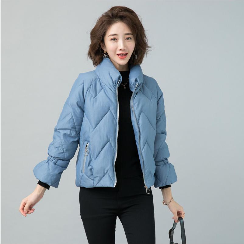 Winter Women's Down Padded Jacket Fashionable Ladies Lightweight Short Padded Jacket