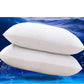 Home Low Pillow Genuine Pillow Core Adult Wedding Hotel Student Pillow Free Pillowcase