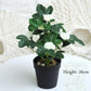 Silk Flower Plastic Flower Small Potted Bonsai Floor Decoration Artificial Flower Furnishings Living Room Table Decoration Floristry Plant