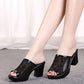 Summer Waterproof Platform Non-slip Thick Heel Sandals Middle-aged Mother Shoes Women's Breathable Mesh Sandals Flip Flops