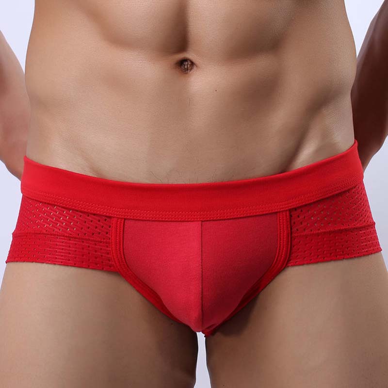 Men's Underwear Mesh Breathable Thin Men's Briefs