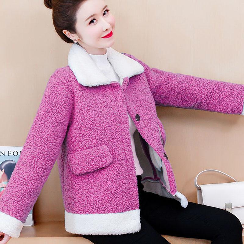Lamb Wool Coat Female Autumn and Winter Korean Version Plus Velvet Color Matching Fur One Thickened Short Lamb Wool