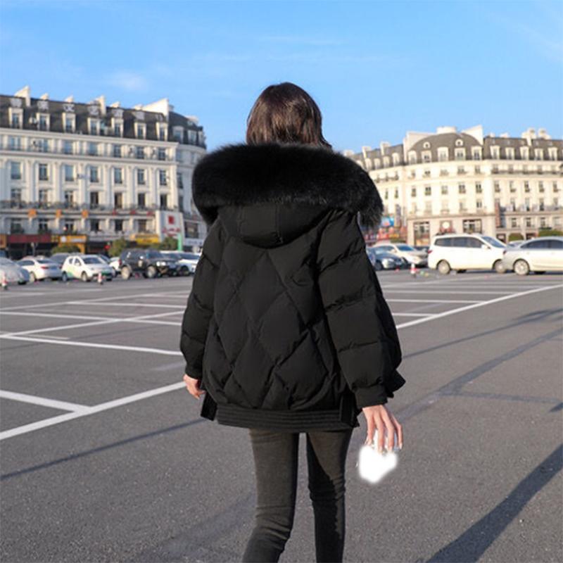 Women's Solid Color Down Jacket Regular Korean Loose Thick Coat Warm Cotton Coat Big Fur Collar Winter Clothes Quilted Coat
