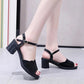 Women's Medium Heel Summer Thick Heel Sandals Non-slip Wear-resistant Sandals Outdoor
