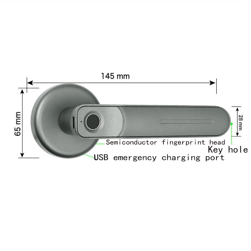 Spherical Intelligent Handle Indoor Wooden Door Fingerprint Lock Home Office Room Bedroom Smart Lock Code Lock