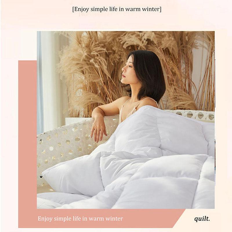 Five-star Hotel Special Down Quilt Winter Thickening Home White Goose Down Spring and Autumn Quilt for Students