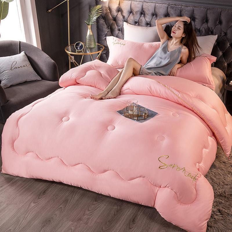 Student Dormitory Winter Quilt Spring and Autumn Quilt Core Four Seasons Universal Household Quilt Air-conditioning Quilt