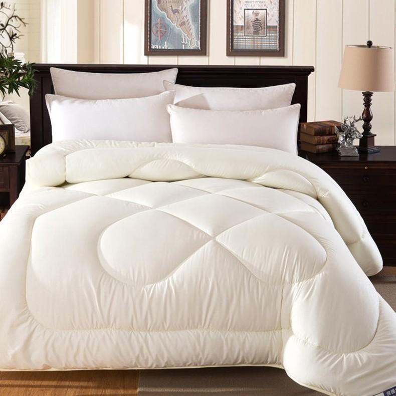 100% Genuine Thick Warm Silk Winter Quilt Double Thin Spring and Autumn Quilt Core Winter Student Mulberry Silk Quilt