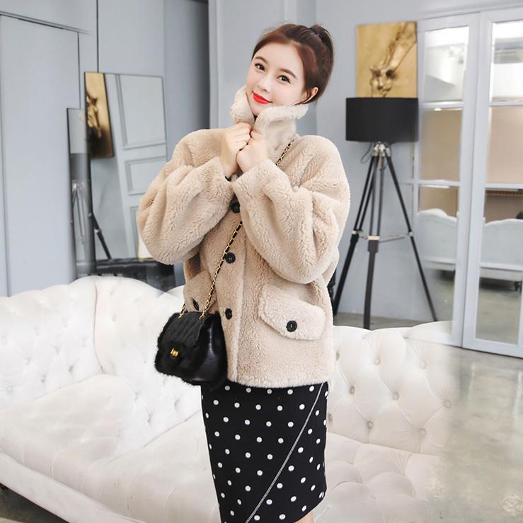Lamb Plush Jacket Autumn and Winter Women's Fur One Thick Warm Jacket Women Loose Short Top