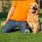 Dog Toy Dog Bite Ball Molar Teeth Bite Resistant Vocal Pet Dog Teddy Puppies Molar Training Ball Play Fun Chewing Toy Dog Cats Grind Teeth Toy