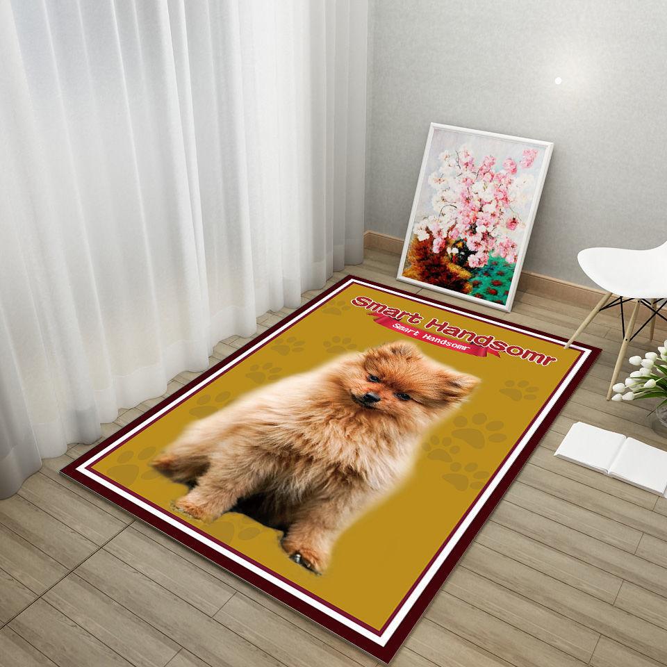 Pet Cat Dog Cat Special Supplies Mat Spring and Summer Autumn and Winter Four Seasons Universal Bite Carpet Floor Mat Sleep