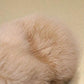 Women's Fluffy Slippers for Autumn and Winter Outer Wear Flat All-match Shoes