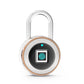 Fingerprint Padlock Intelligent Lock Dormitory Locker Warehouse Door Security Lock Outdoor Remote Authorization Password Padlock