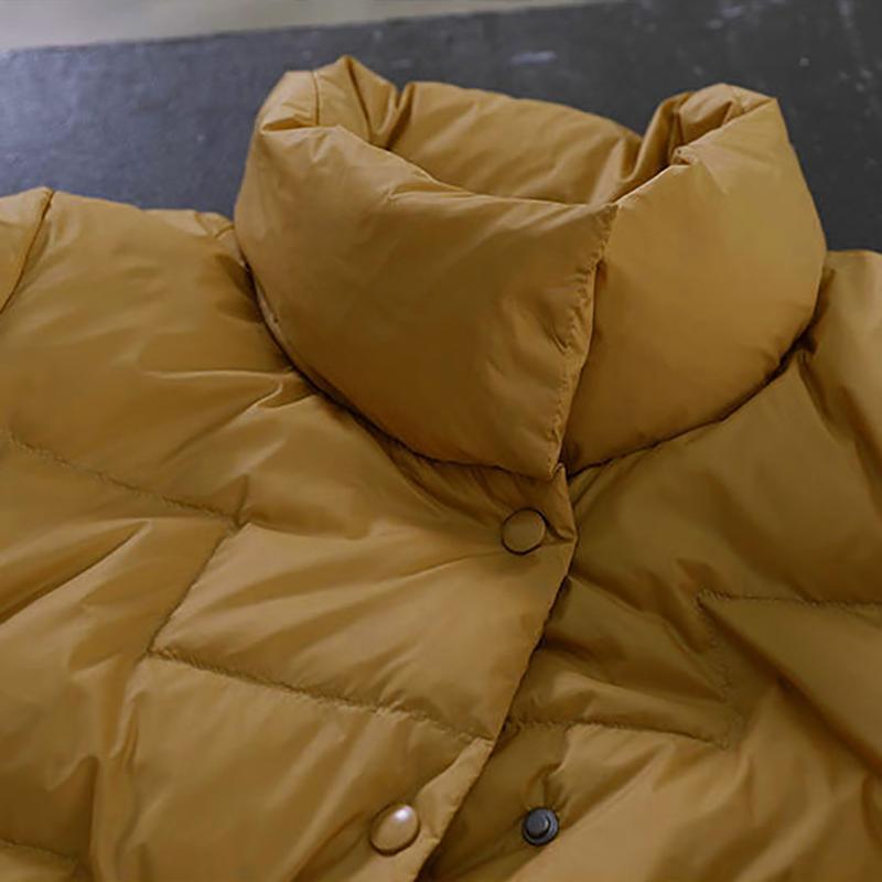 Winter Jackets for Women Warm Down Coat Oversized Parkas Stand Collar Plus Size Thicken Warm Lady Winter Coats