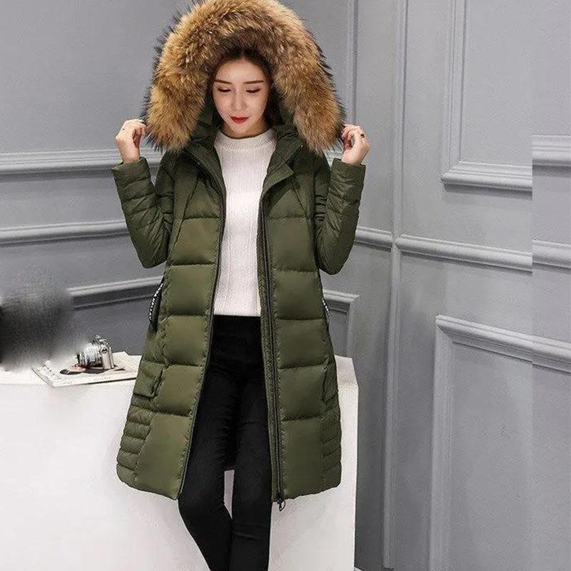Outdoor Autumn And Winter Fashion New Ladies Slim Warm Down Jacket Cotton Hooded Padded Coat Jacket