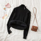 Omen's Sweater Thickened Velvet Half High Collar Autumn Winter All-match Thinner Knitted Bottoming Shirt Warm Clothes Women