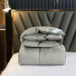 Genuine Winter Duvet White Goose Down Thickened Warm Winter Quilt Clearance Duck Down Air-conditioning Quilt Core