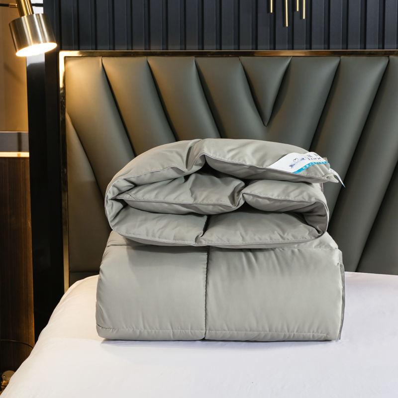 Genuine Winter Duvet White Goose Down Thickened Warm Winter Quilt Clearance Duck Down Air-conditioning Quilt Core
