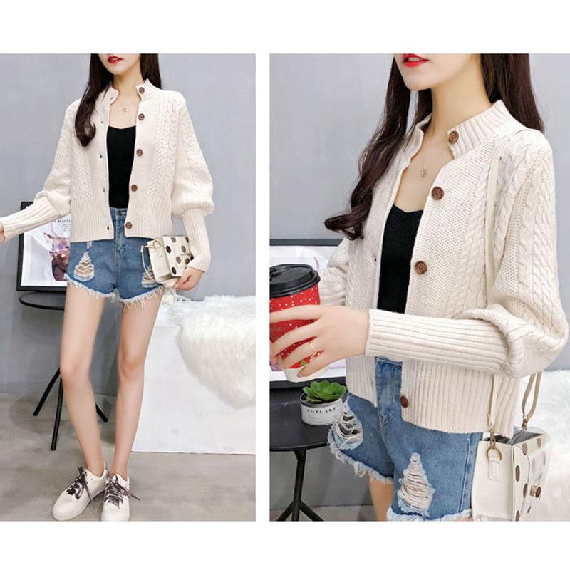 Autumn and Winter Casual Sweater Simple Slim Jacket Fashion Short Girl Top