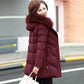 Middle-aged and Elderly Pure Color Simple Down Cotton Jacket Mid-length Spring and Autumn Women's Clothing