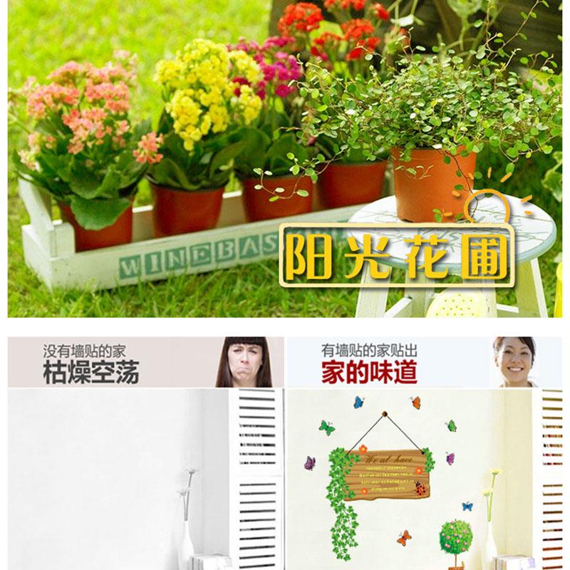 Sun flower garden cute potted restaurant glass removable wall stickers furniture stickers