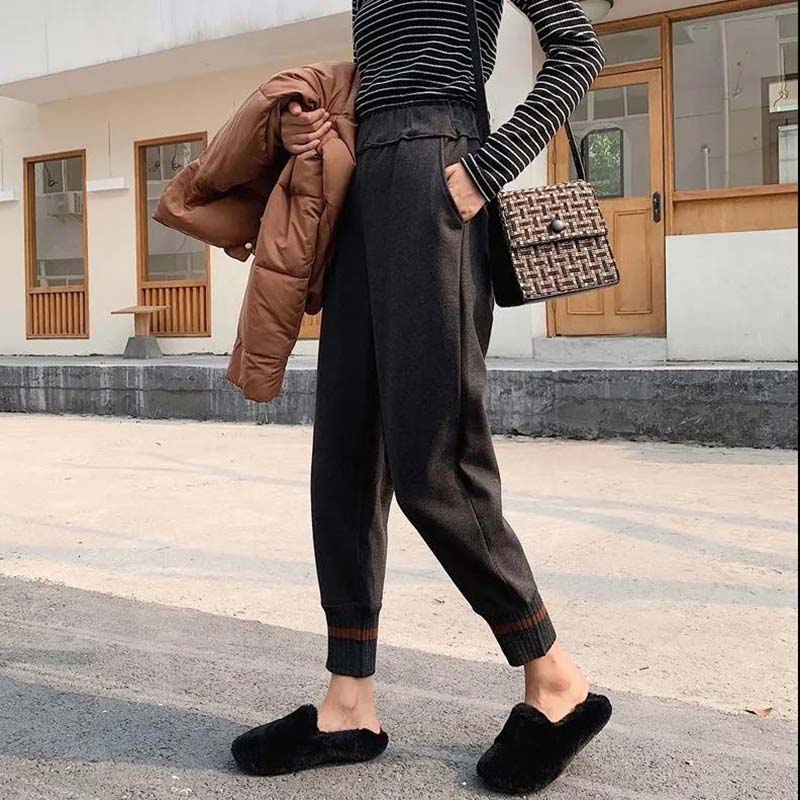 Harem Pants Women's Autumn and Winter New Styles Plus Velvet Thick Woolen Trousers Beam Pants Radish Pants Loose and Thin Net Red Granny Pants