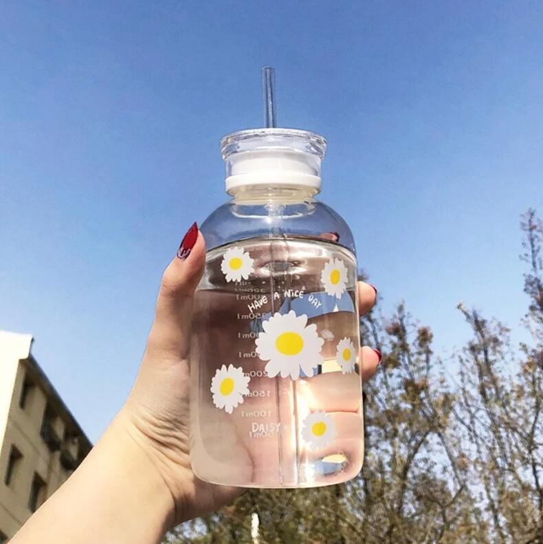 2 Lids Cute 500ml Daisy Clear / Frosted Borosilicate Glass Water Bottle | BPA FREE | High Quality Food Grade Material | Gifts for Her