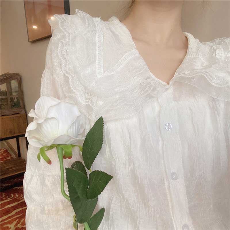 Spring Blouse Chiffon Shirt Women's Design Sense Niche Western Style Thin Shirt