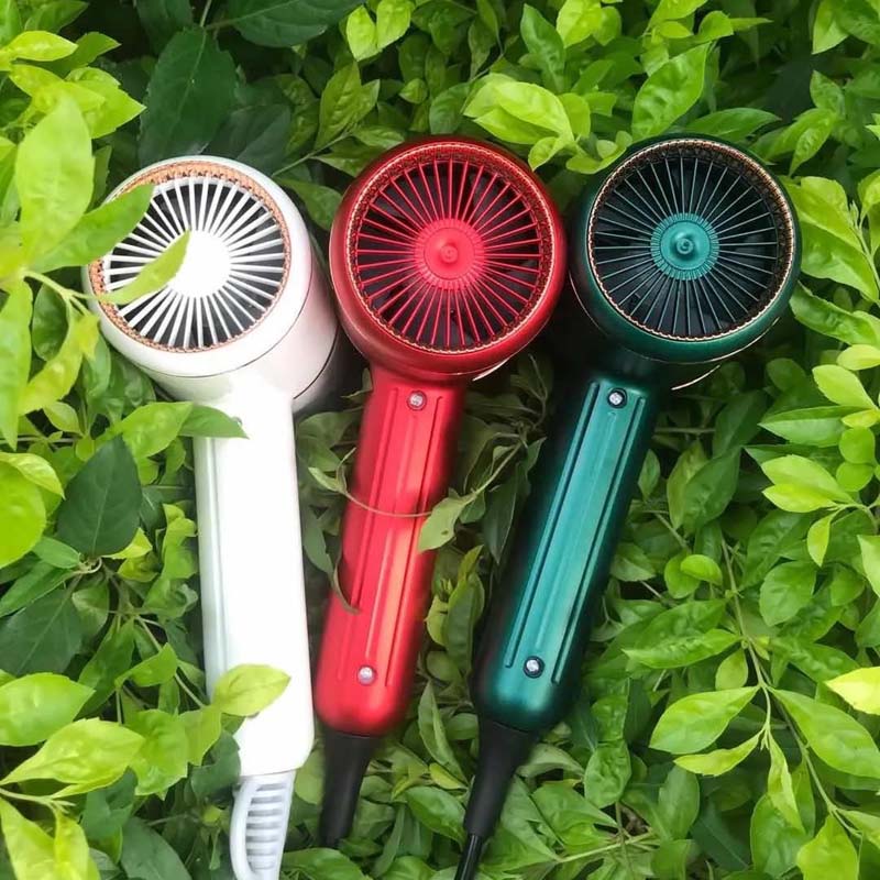 Constant Temperature Negative Ion Hair Dryer for Hair Care Professional Quick-drying 2000W Mini Household Professional Hair Dryer