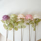 Coke Edge Imitation Dried Flower Rose Flower Korean Light Luxury Decoration Decoration Dining Room Fake Flower Simulation Flower Home Bouquet