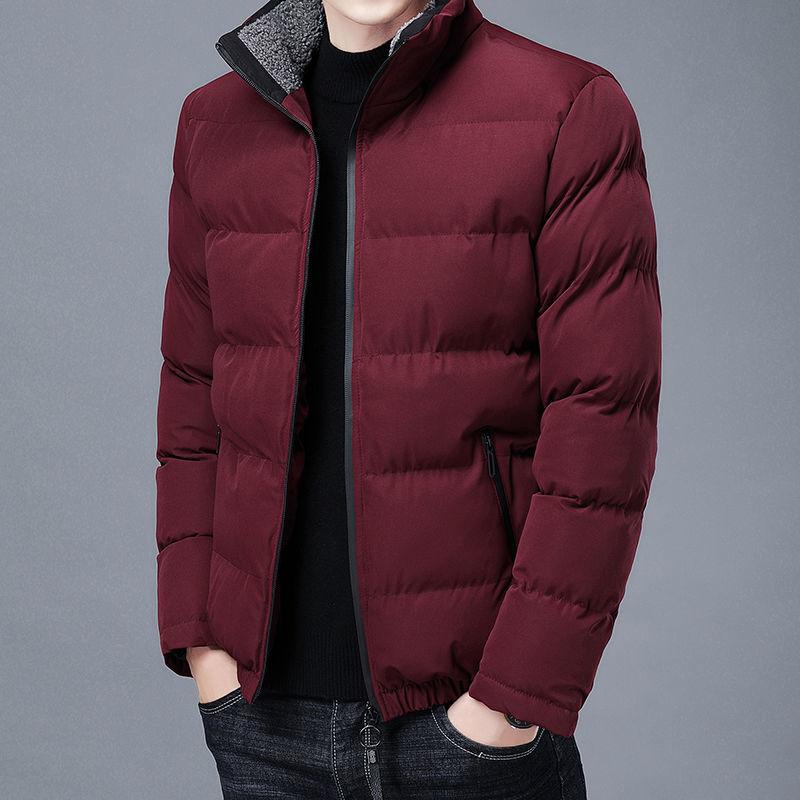 Winter Padded Jacket Men's Stand-up Collar Youth Short Padded Jacket Korean Version of The Trend of Men's Jacket Small Padded Jacket Thickened Slim