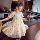 Girls Princess Dress Birthday Party Evening Dress Children Korean Style Foreign Butterfly Lace Dress Girl Puff Sleeve Dress