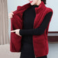Coral Fleece Warm Outer Wear Women's Vest Double-sided Fleece Vest Stand-up Collar Zipper Sleeveless Jacket Women's Warm Vest