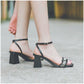 Women's Summer Roman Sandals All-match Fashionable Women's Shoes Korean Style Thick Heel Open Toe Buckle High Heels