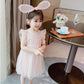 Girls Fluffy Cake Dresses Mesh Skirt Embroidery Ruffle Kids Christmas Party Costume Birthday Tutu Gown Children Clothing