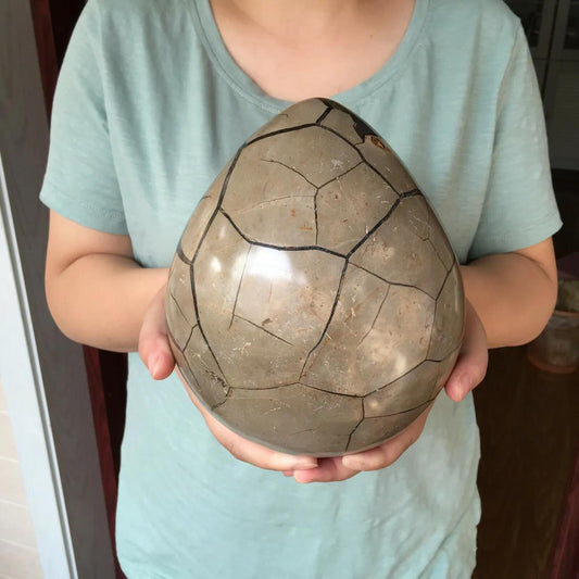 Large Septarian Nodule Natural Dragon Septarian Geode Quartz Egg Cluster Crystal  Healing Crystal Specimen 1pc