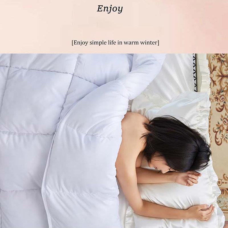 Five-star Hotel Special Down Quilt Winter Thickening Home White Goose Down Spring and Autumn Quilt for Students