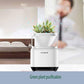 Anion mini mini Air Purifier Bedroom Office in addition to formaldehyde and odor comfort