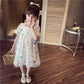 Girls Princess Dress Birthday Party Evening Dress Children Korean Style Foreign Butterfly Lace Dress Girl Puff Sleeve Dress